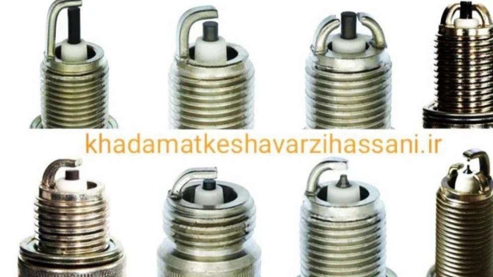 داروخانه گیاه پزشکی حسنی