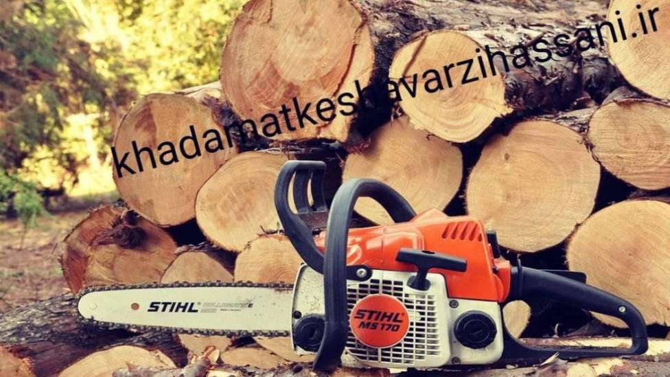 داروخانه گیاه پزشکی حسنی