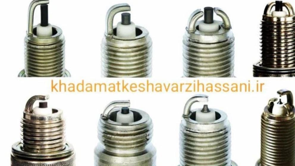 داروخانه گیاه پزشکی حسنی